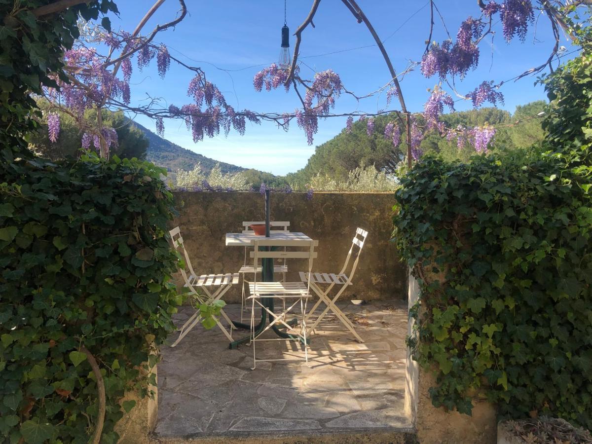La Picholine En Provence Hotel Nyons Eksteriør billede